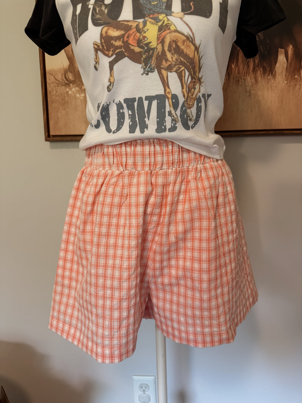 Pink Gingham Shorts