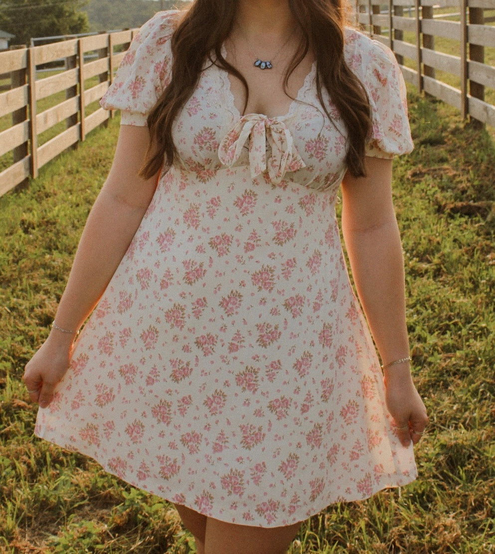 The Cora Mini Dress